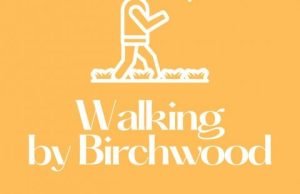 walking birchwood
