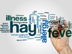 hay fever