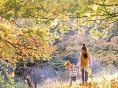 Photo credit: Paul Box Forestry England/Crown copyrigh