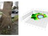 A tree being scanned (left) and the scan of the interior
