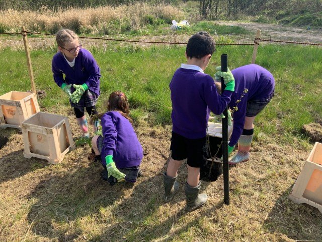 Becconsall Tree Planting