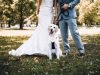 pet friendly wedding