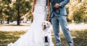 pet friendly wedding