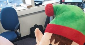 Harry the Health Elf gets to work