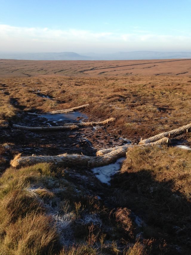 Peatland restoration on Pendle hill
