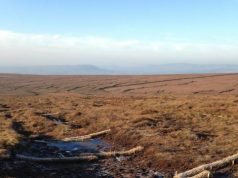 Peatland restoration on Pendle hill